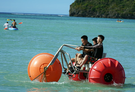 アクティビティ